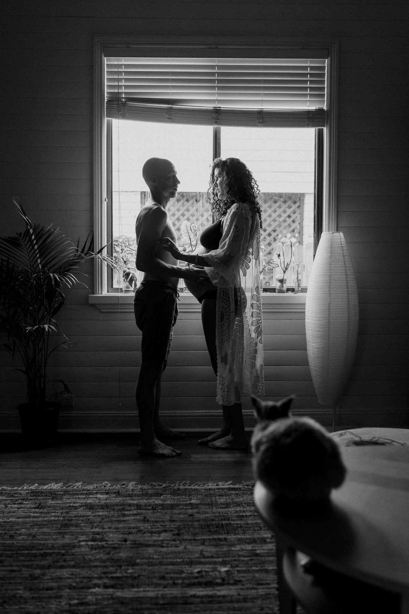 A couple standing in the window with their arms around each other with a cat watching on in the foreground.